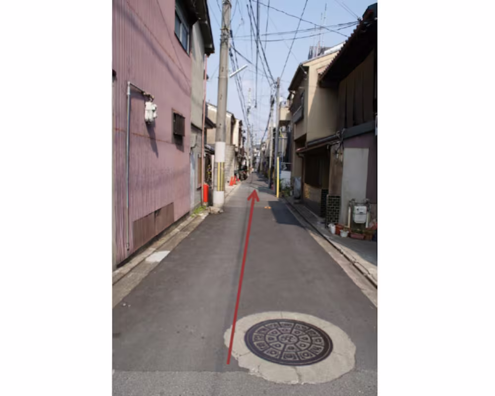 The narrow residential lane leading towards the houses