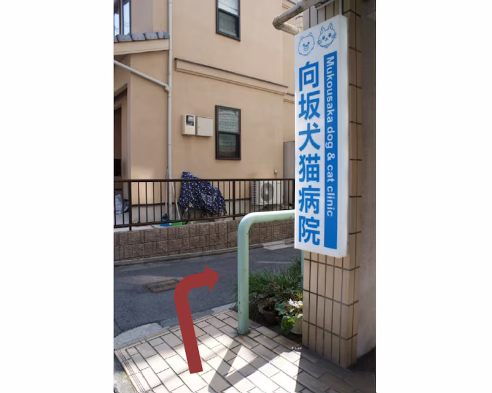 The veterinary clinic marking the first lane on the right