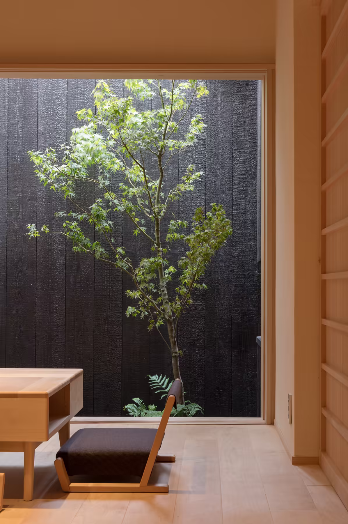 The courtyard garden at BenTen East, framed by a maple and a stone basin